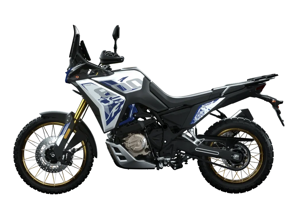 DS800X Rally Blanco