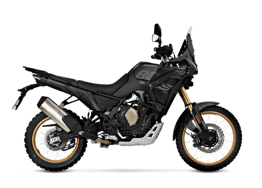 DS800X Rally Negro